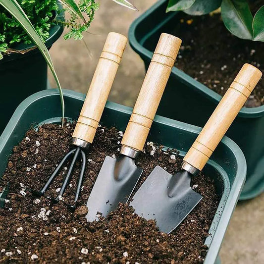 3-Piece Mini Garden Tool Set for Indoor & Small-Space Gardening